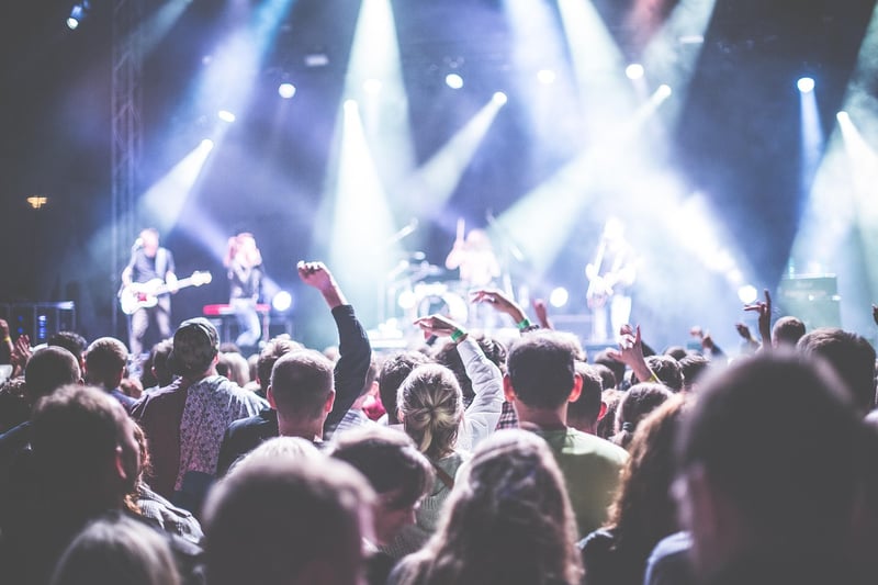 Live Musicians